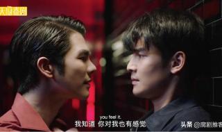 黑帮少爷爱上我小说 黑帮少爷爱上我小说