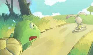 小乌龟作文 小乌龟作文