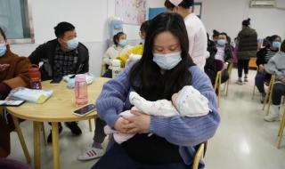 新手训练营 新手训练营