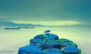 赢在中国碧水蓝天 赢在中国碧水蓝天